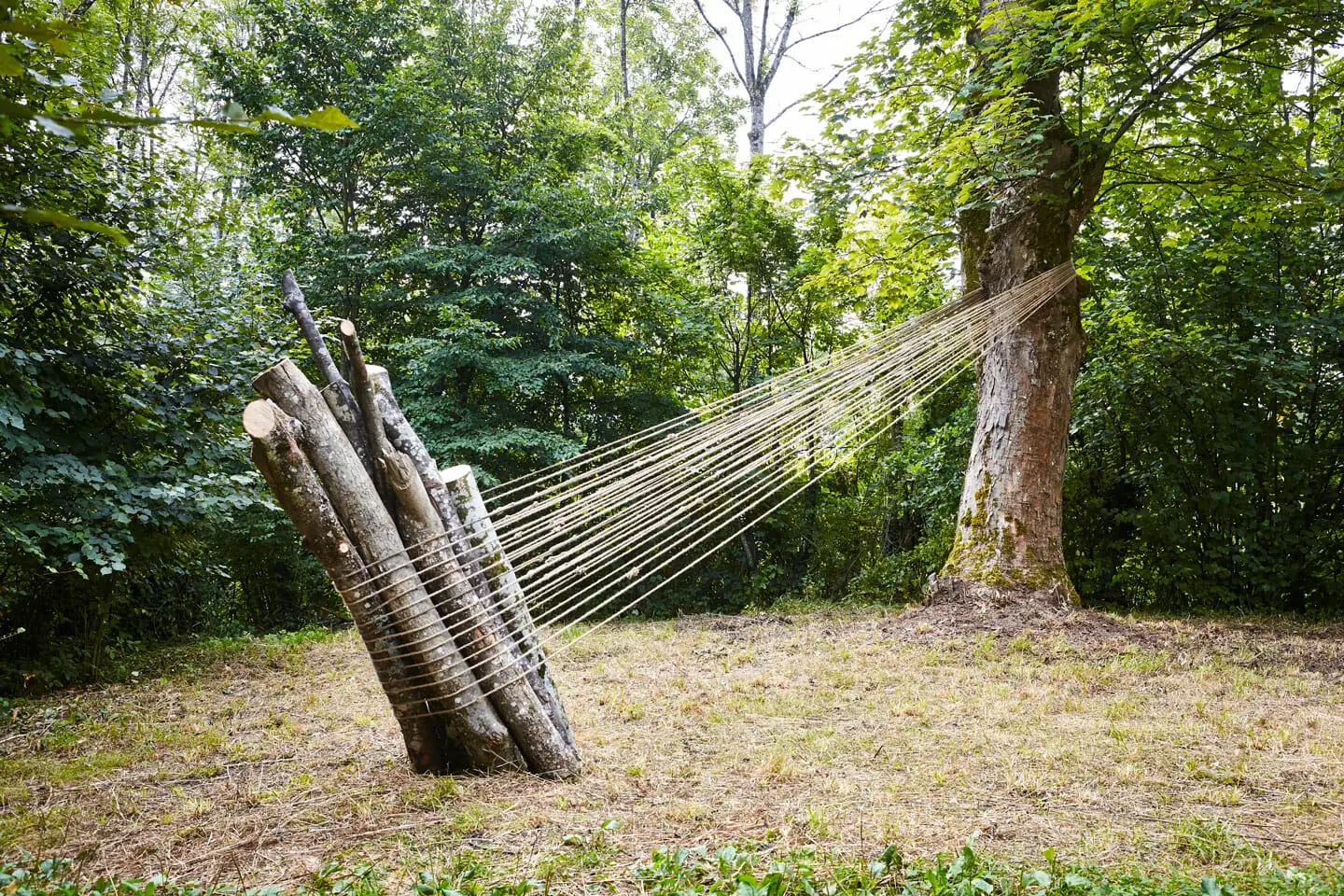 Lawren Spera, Lichtband, 2019