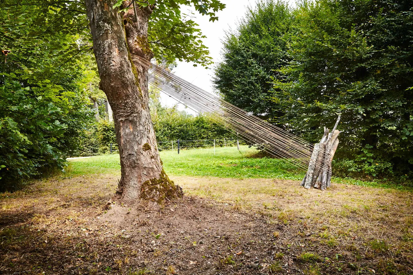 Lawren Spera, Lichtband, 2019