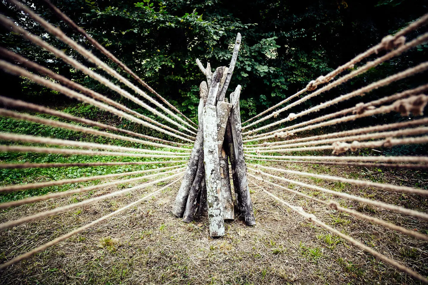 Lawren Spera, Lichtband, 2019