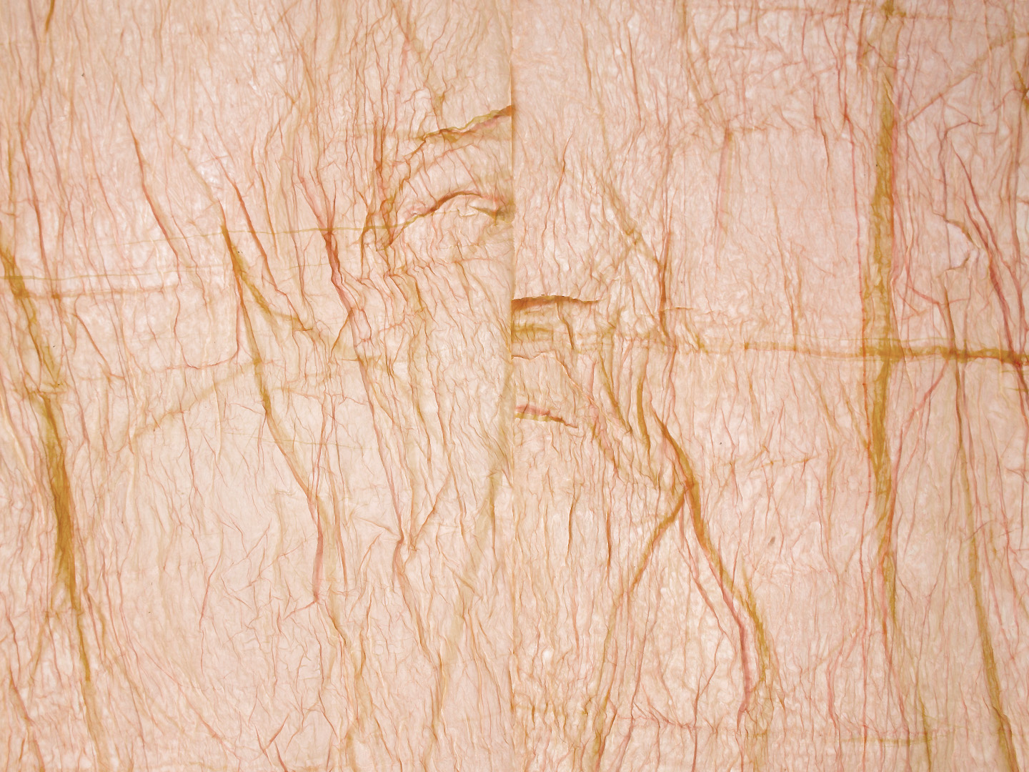 Lawren Spera, Witch Clock, 2022