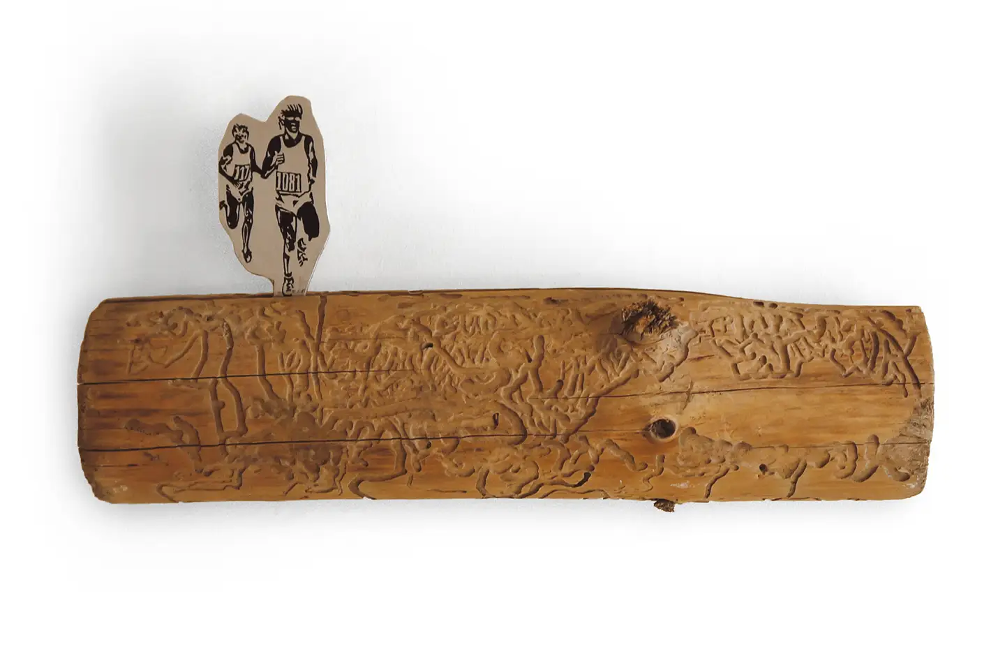 Lawren Spera, Run, 2014