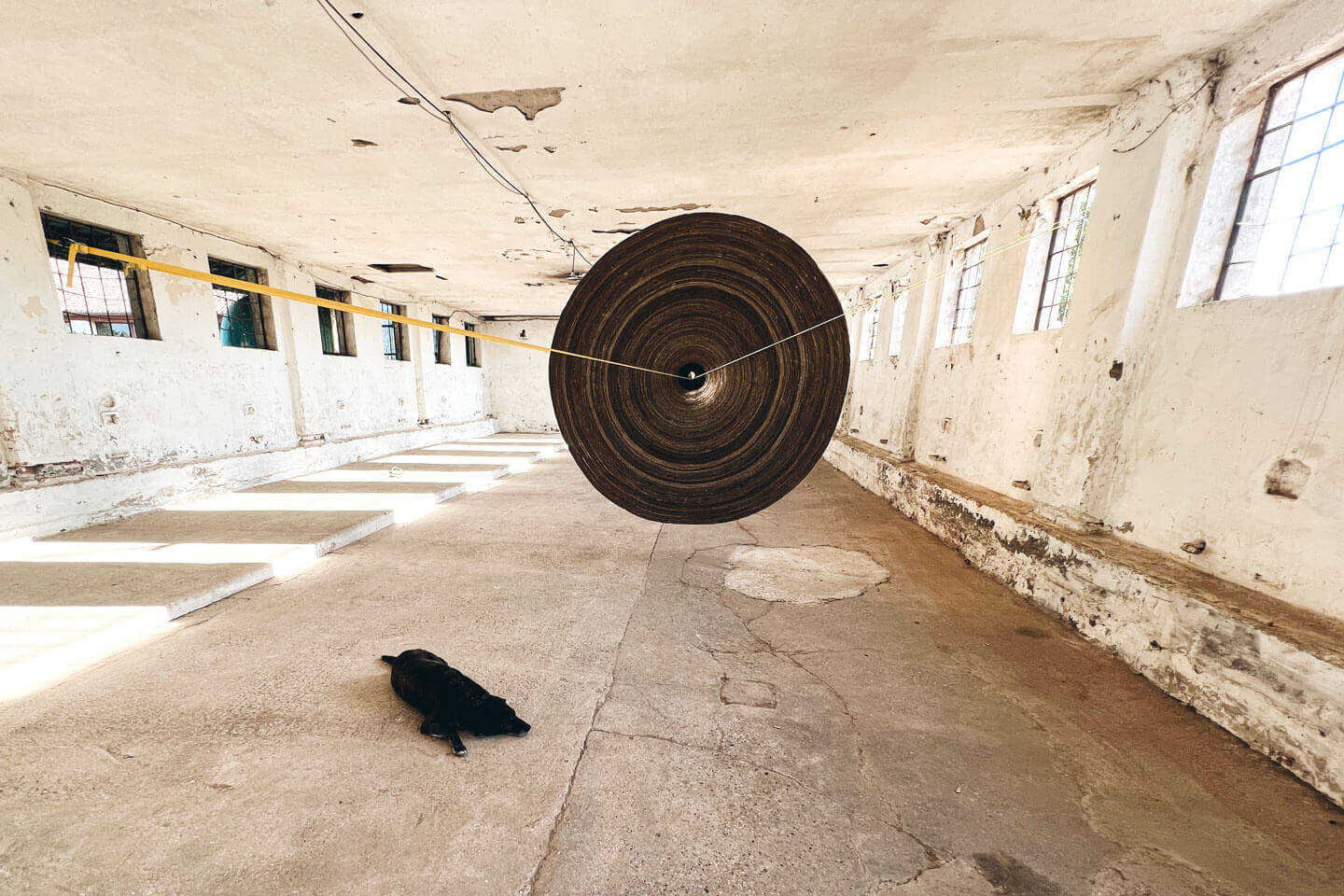 Lawren Spera, The Wheel (La Ruota), 2022