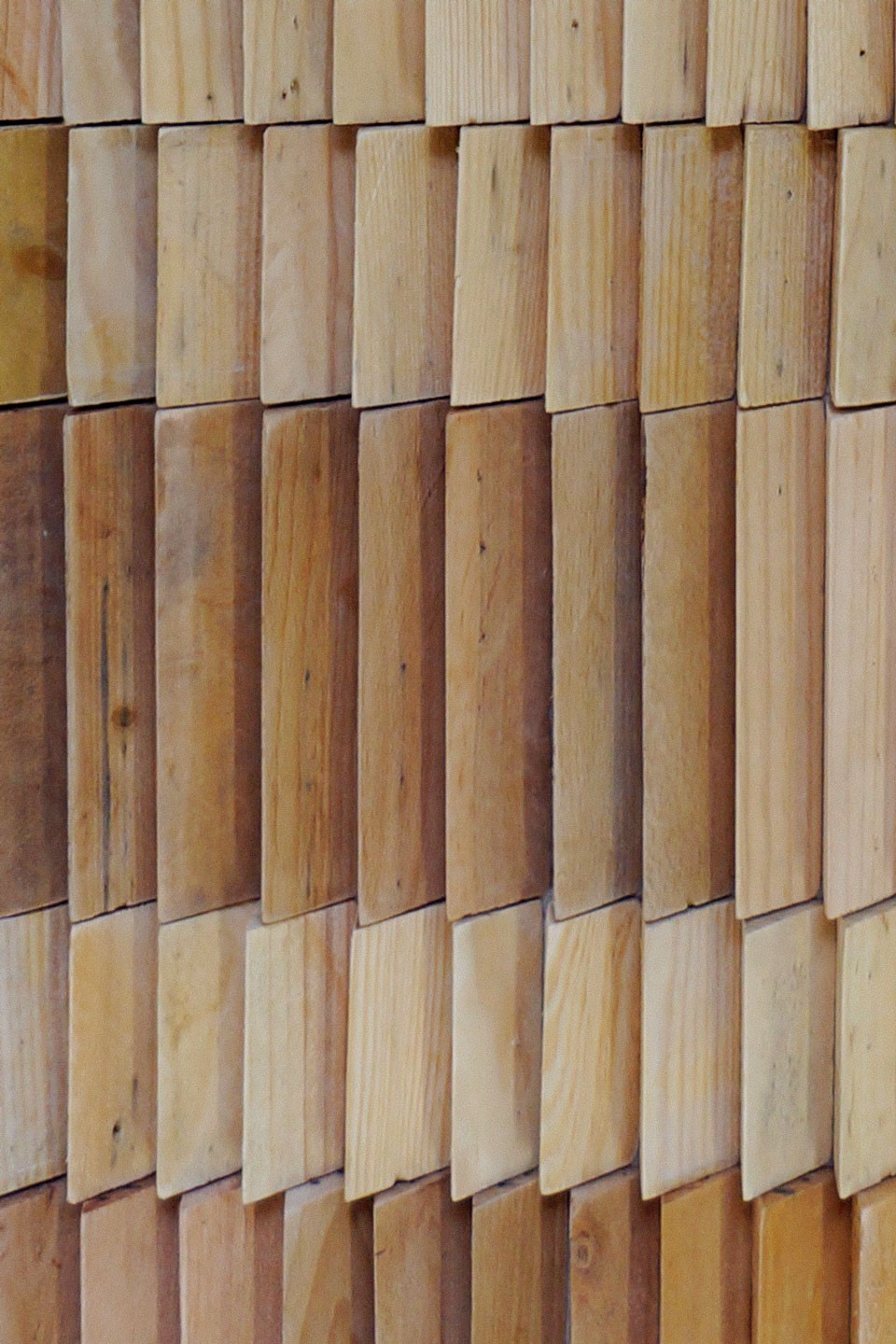 Lawren Spera, 5S4, 2015