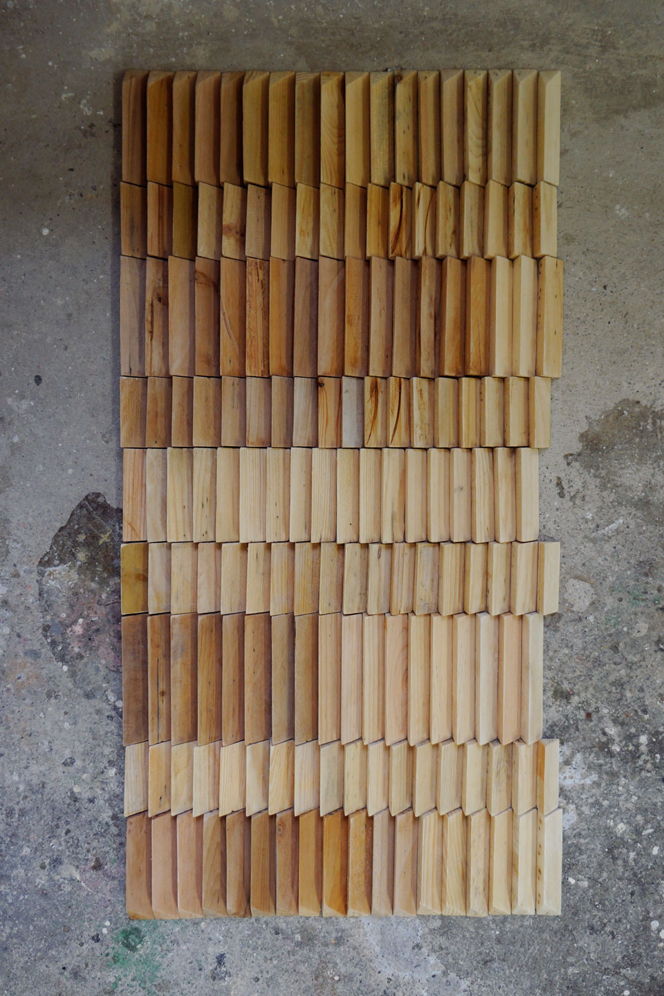 Lawren Spera, 5S4, 2015