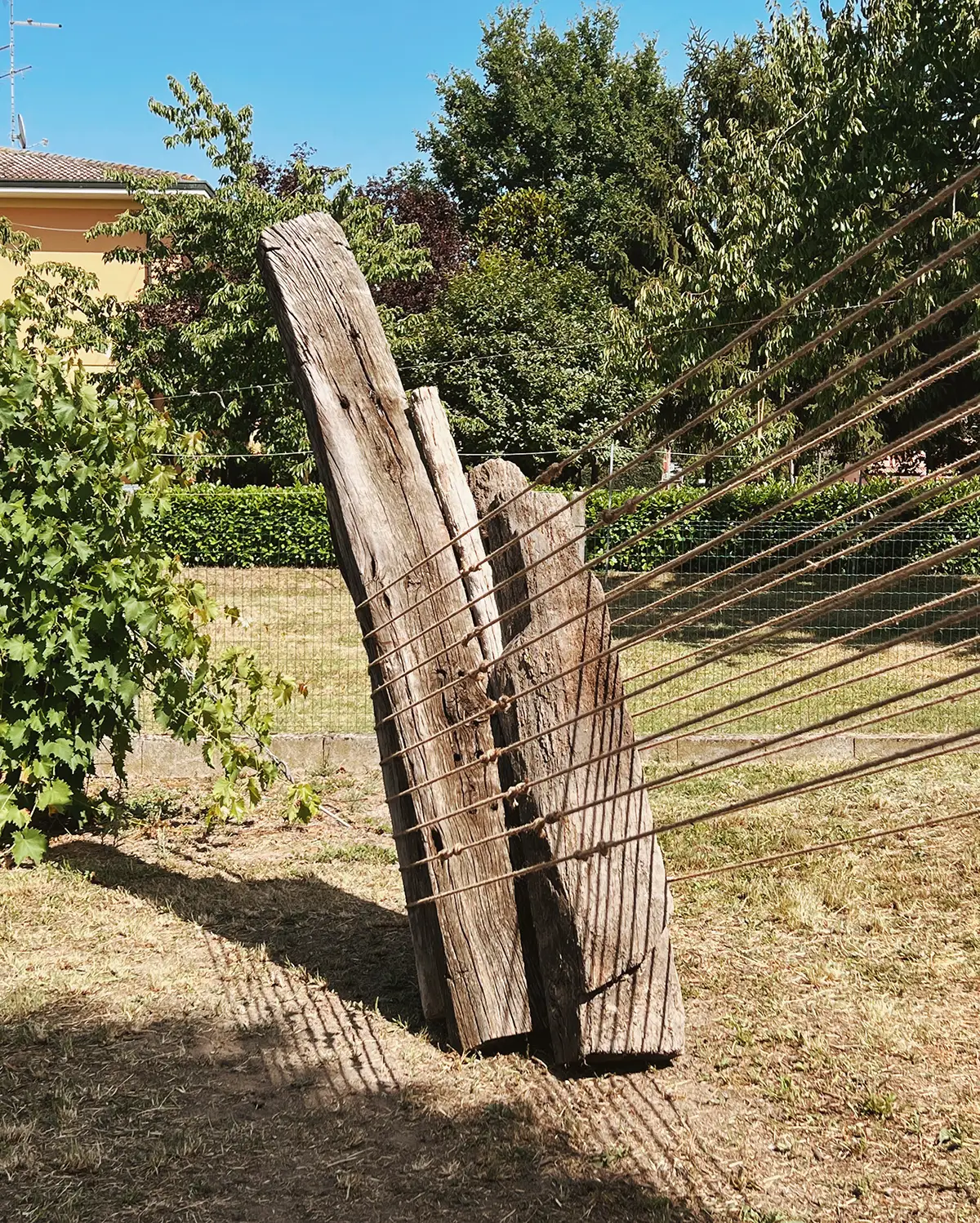 Lawren Spera, Il Raggio, 2022