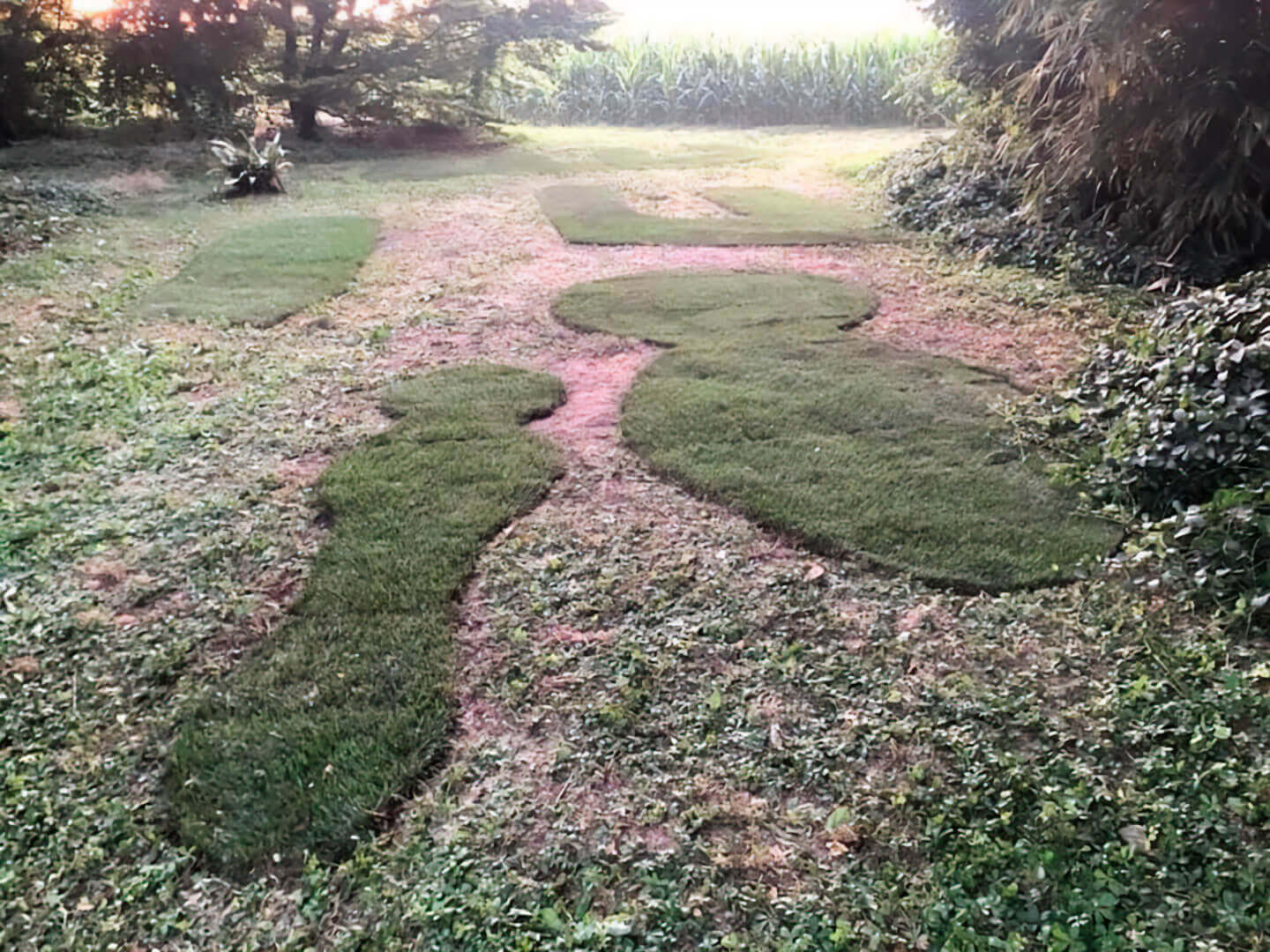 Lawren Spera, A Problem of Universals, yesterday 7:38pm, 2021