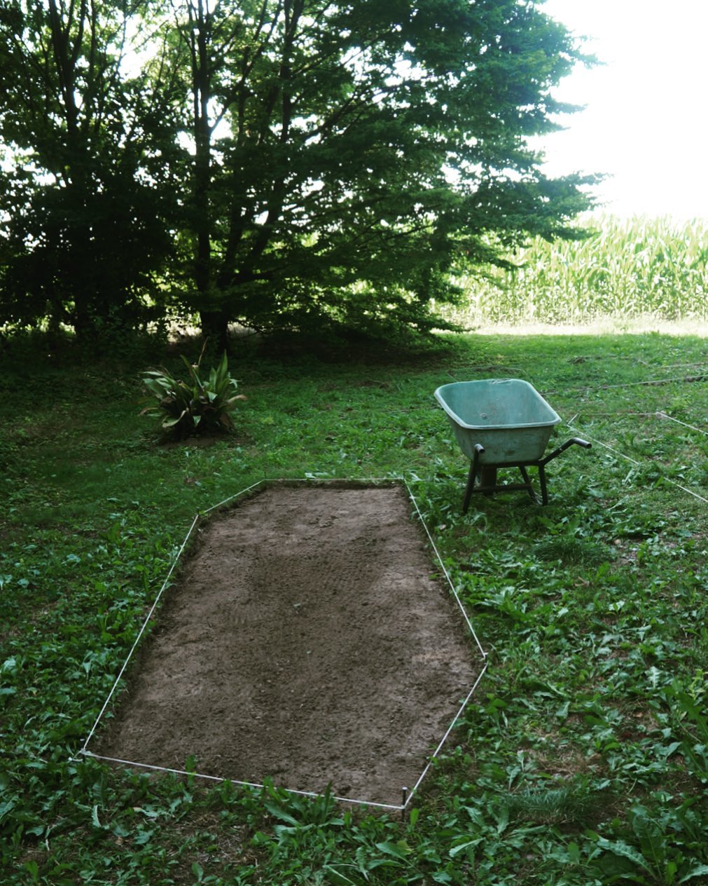 Lawren Spera, A Problem of Universals, yesterday 7:38pm, 2021