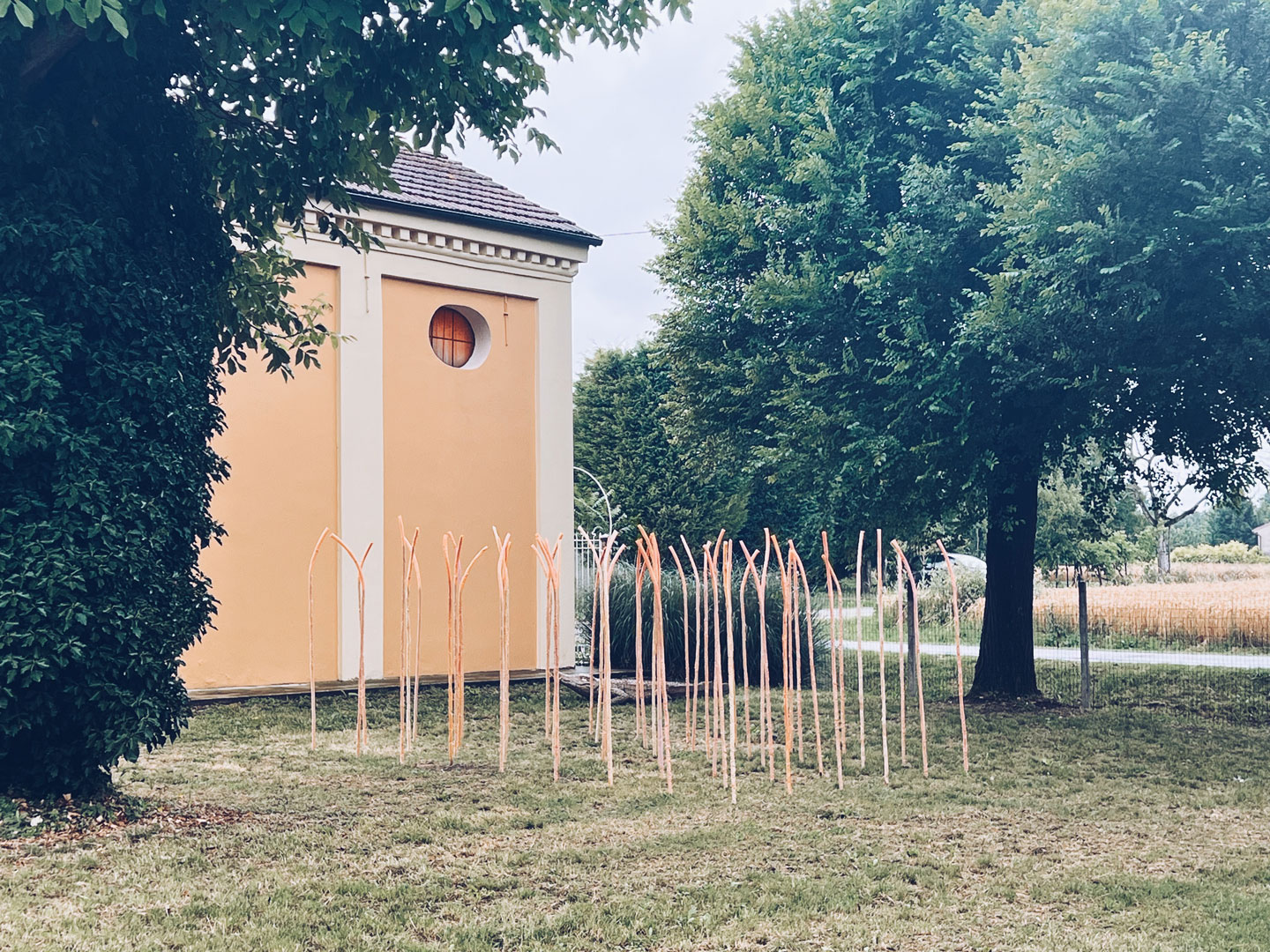 Lawren Spera, Lei dorme trai giunchi, 2024