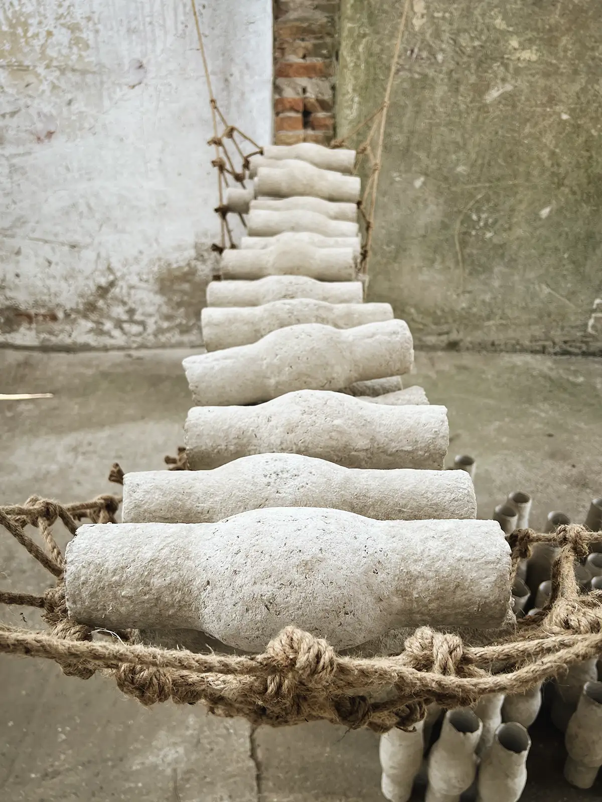 Lawren Spera, Ponderosa, 2024