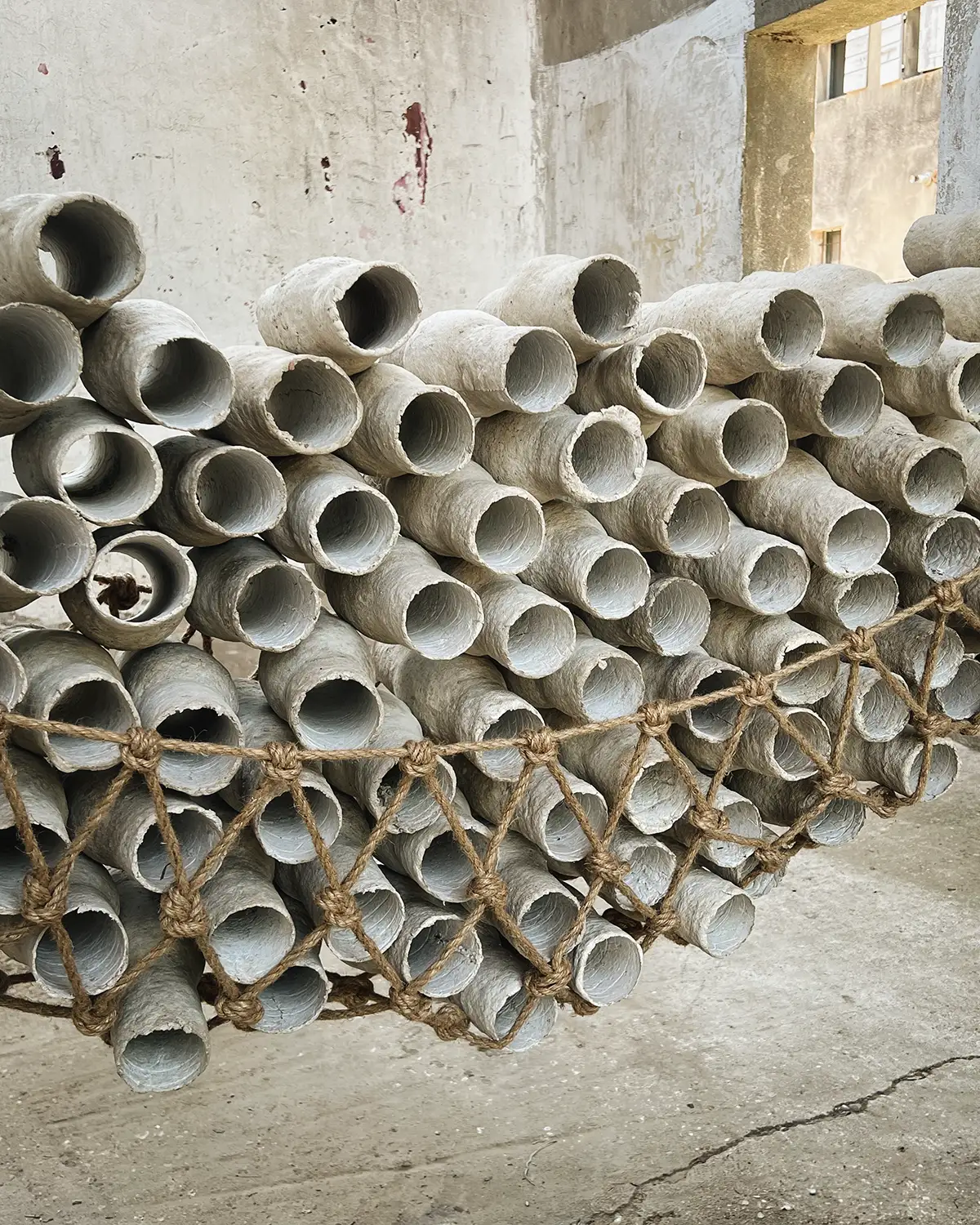 Lawren Spera, Ponderosa, 2024