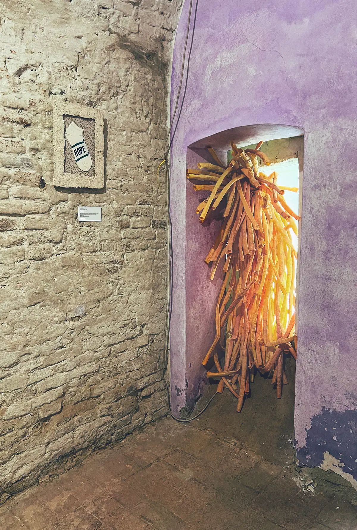 Lawren Spera, HOPE S*CKS, 2024 and Besom, 2024