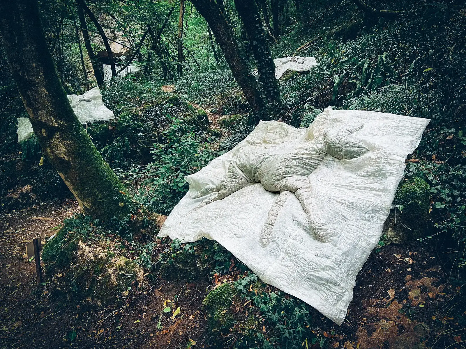 Where they came to rest, 2026 Lawren Spera, Where they came to rest, 2026