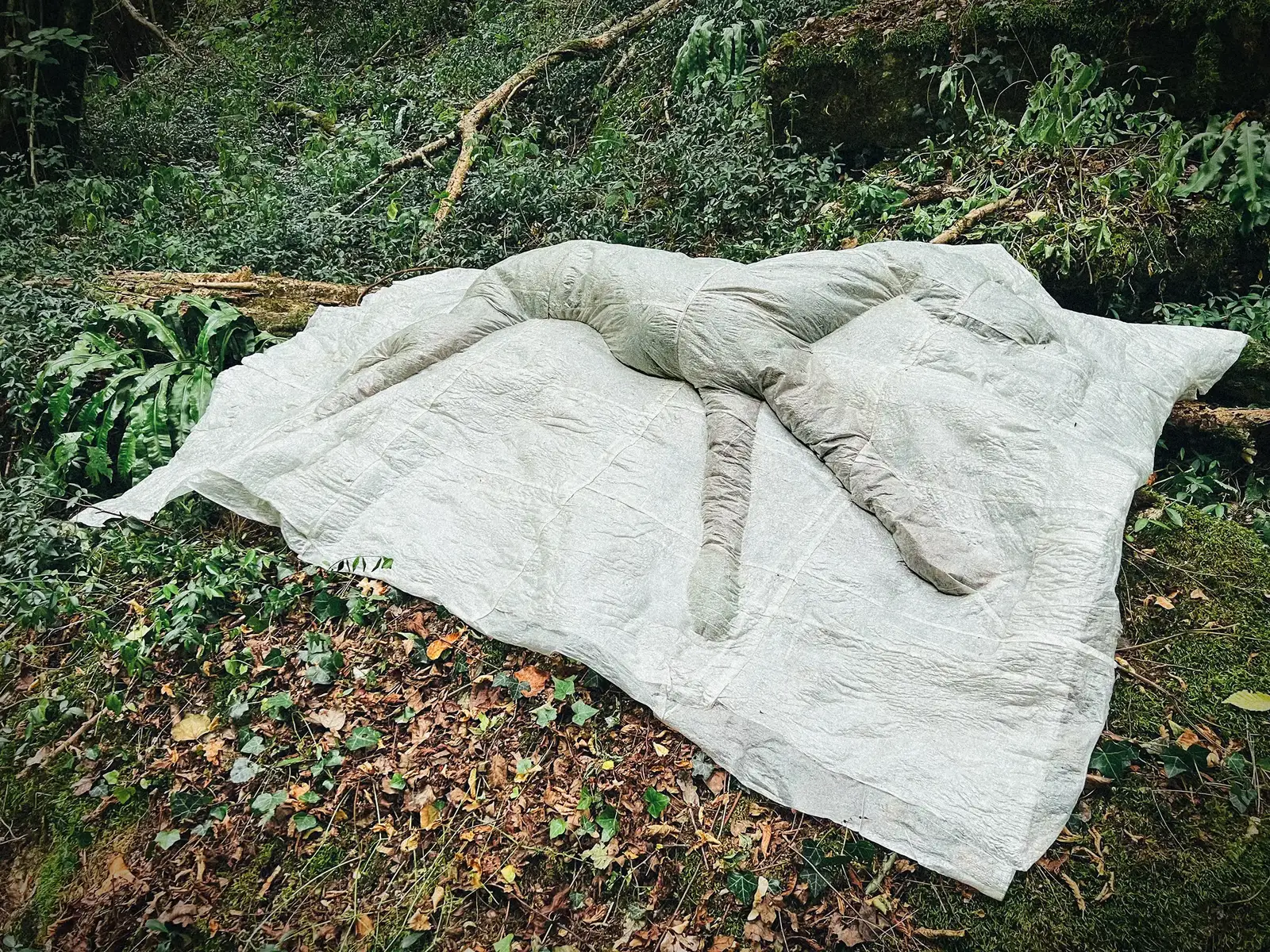 Where they came to rest, 2026 Lawren Spera, Where they came to rest, 2026