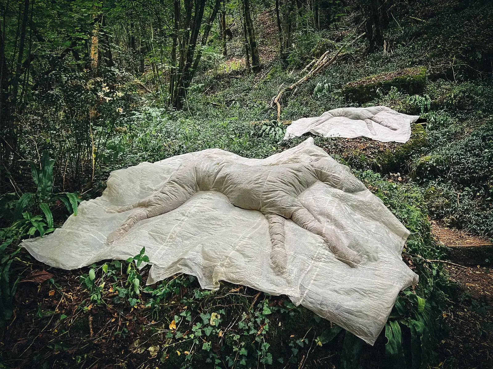 Where they came to rest, 2026 Lawren Spera, Where they came to rest, 2026