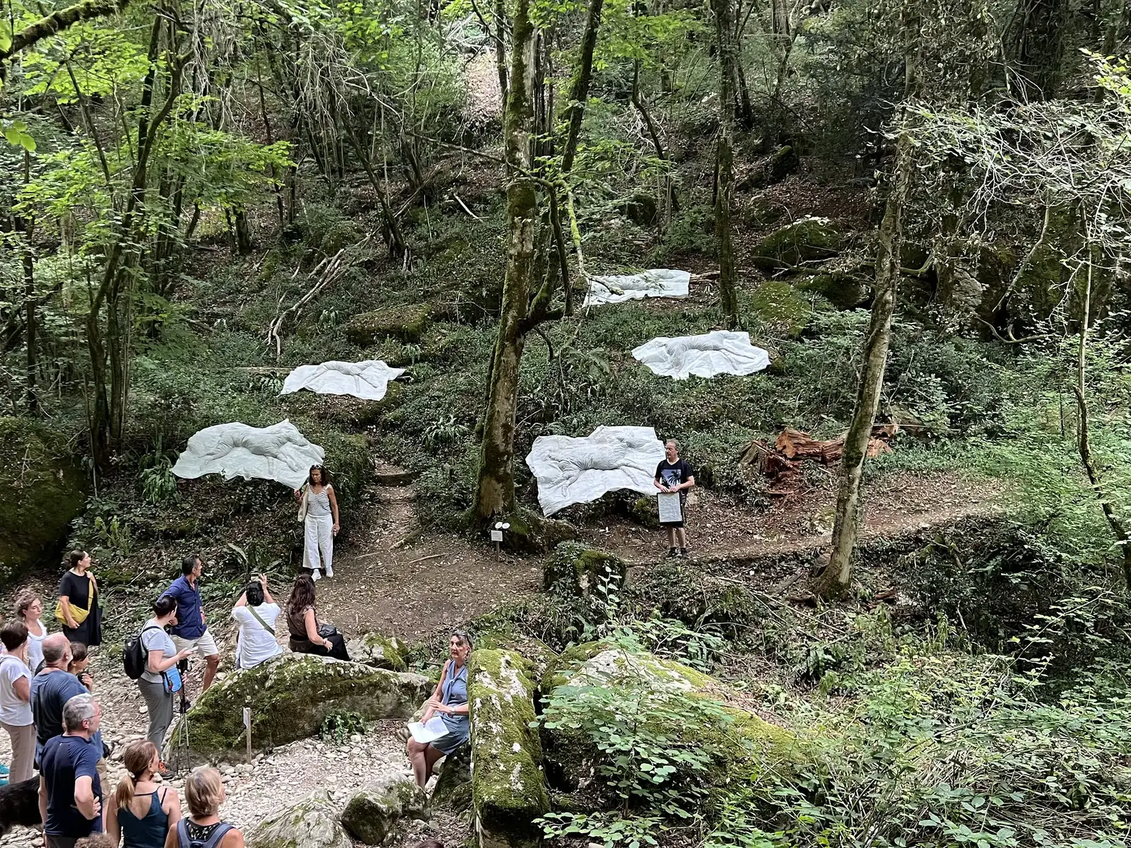 Where they came to rest, 2026 Lawren Spera, Where they came to rest, 2026