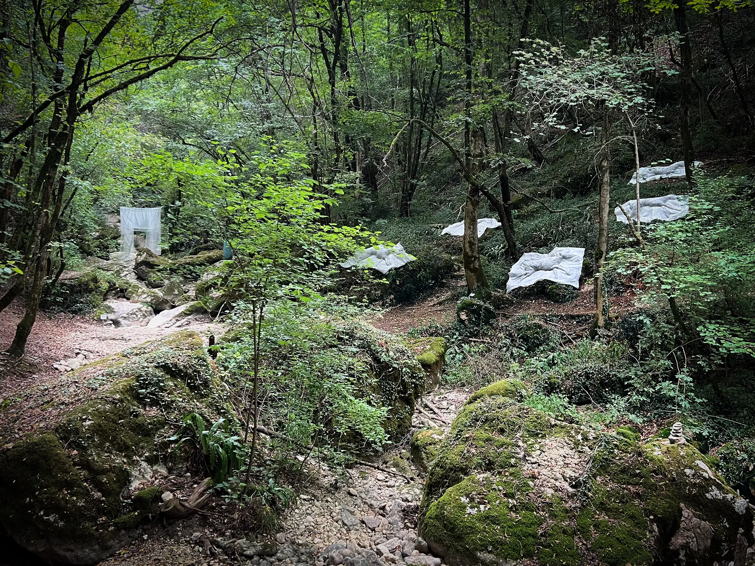 Lawren Spera, Where they came to rest, 2026